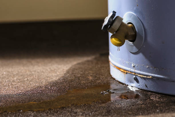 Best Water damage restoration near me  in Conehatta, MS