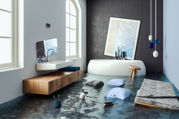 Best Basement water damage restoration  in Conehatta, MS