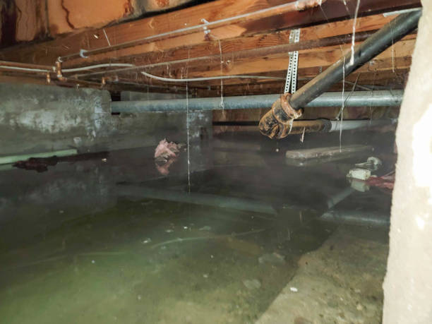 Best Commercial water damage restoration  in Conehatta, MS