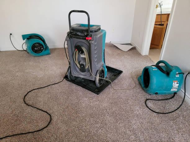 Best Local water damage restoration  in Conehatta, MS