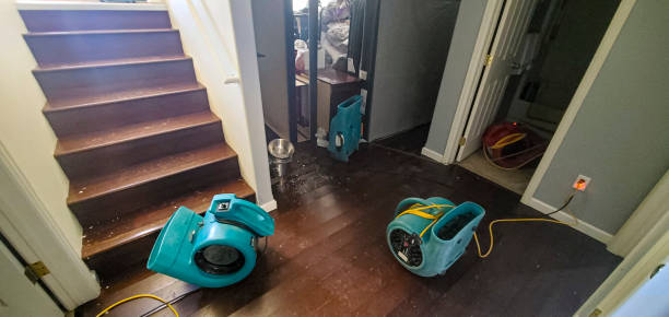 Best Carpet water damage restoration  in Conehatta, MS