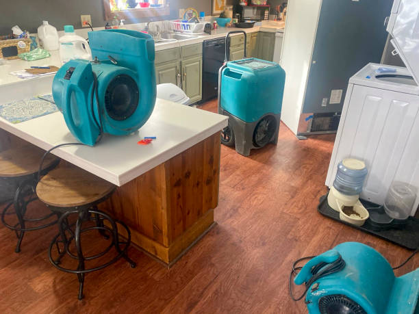 Best Carpet water damage restoration  in Conehatta, MS