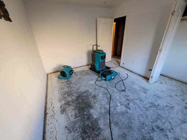 Best 24/7 water damage repair  in Conehatta, MS