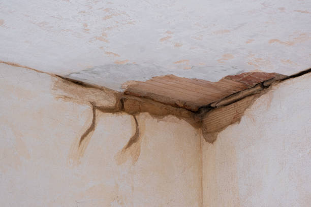 Best Water damage restoration near me  in Conehatta, MS