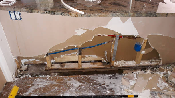 Best Water damage restoration cost  in Conehatta, MS