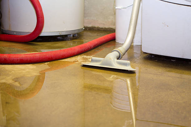 Best Fire Damage Restoration  in Conehatta, MS