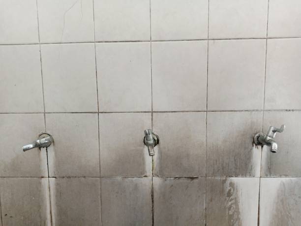 Carpet water damage restoration in MS
