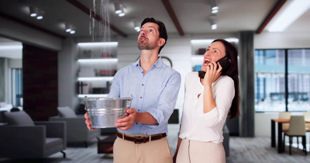 Best Water damage restoration near me  in Conehatta, MS
