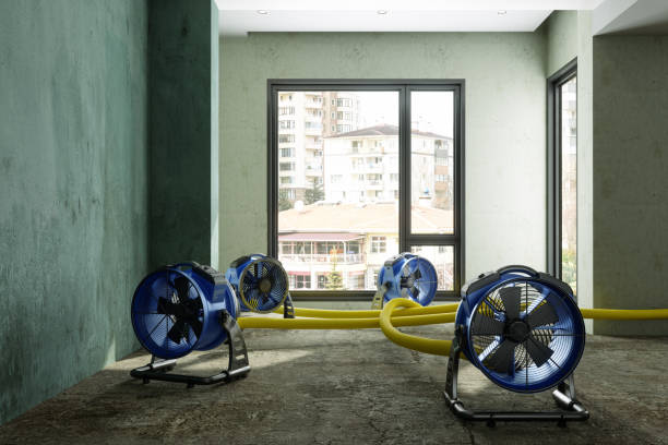 Professional Water damage restoration in MS